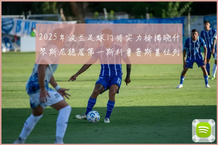 2025年波兰足球门将实力榜揭晓什琴斯尼稳居第一斯科鲁普斯基位列第三