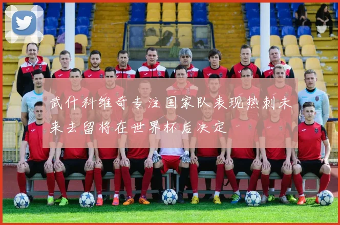 武什科维奇专注国家队表现热刺未来去留将在世界杯后决定